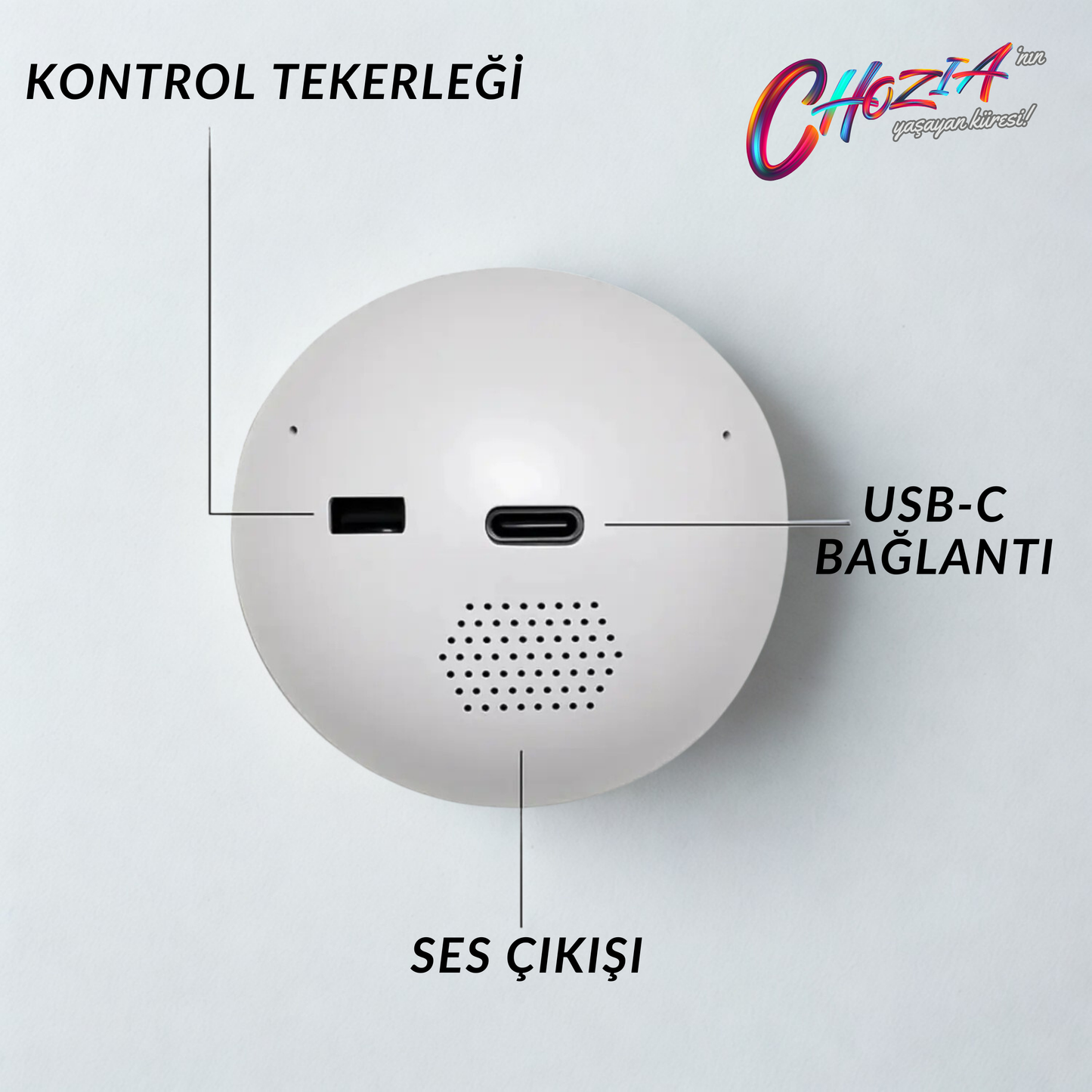 Yaşayan Küre