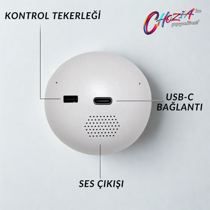 Yaşayan Küre